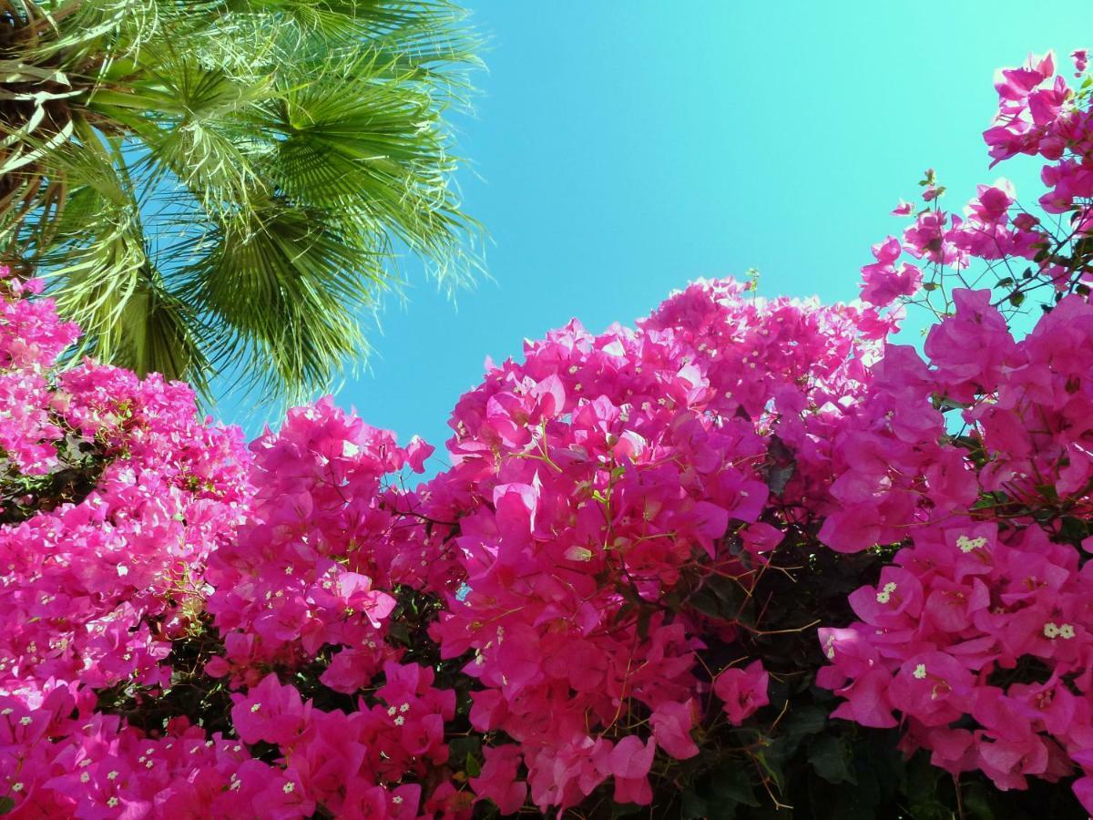 Bougainvillea Suites Kamári Exterior foto